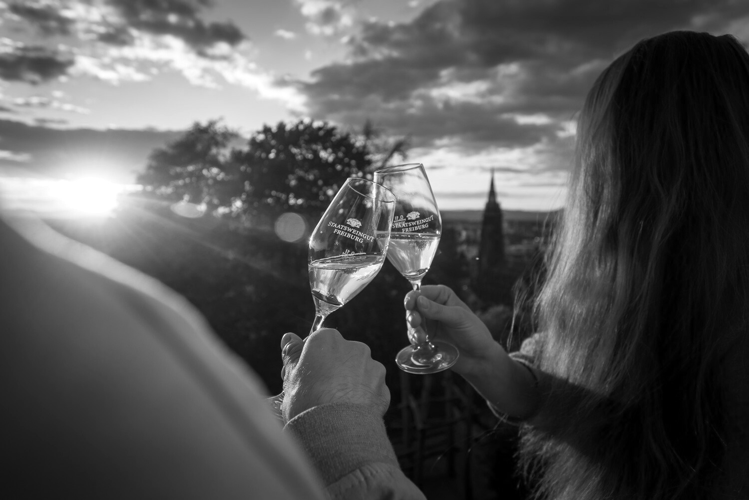 Weinprobe beim Staatsweingut